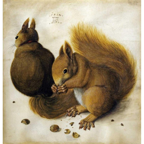 Two Squirrels, One Eating a Hazelnut Gold Ornate Wood Framed Art Print with Double Matting by Durer, Albrecht