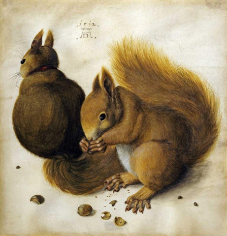 Two Squirrels, One Eating a Hazelnut Black Ornate Wood Framed Art Print with Double Matting by Durer, Albrecht