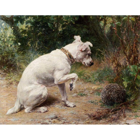 A Prickly Problem Black Modern Wood Framed Art Print with Double Matting by Holmes, George Augustus