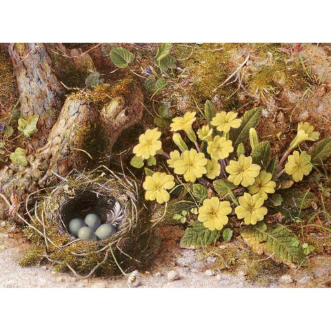 Still Life With a Birds Nest Gold Ornate Wood Framed Art Print with Double Matting by Hough, William B.