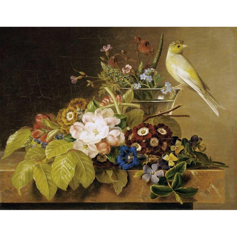 Sweet William, Forget Me Not Black Modern Wood Framed Art Print by Jensen, Johan Laurents