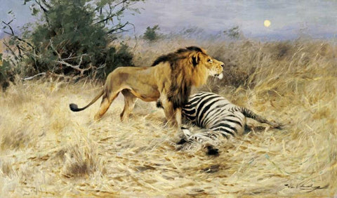 A Lion With His Prey White Modern Wood Framed Art Print with Double Matting by Kuhnert, Wilhelm