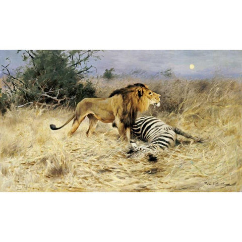 A Lion With His Prey White Modern Wood Framed Art Print by Kuhnert, Wilhelm