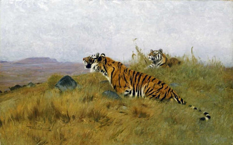 Tigers Stalking Their Prey Black Ornate Wood Framed Art Print with Double Matting by Kuhnert, Wilhelm
