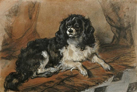 A King Charles Spaniel White Modern Wood Framed Art Print with Double Matting by Landseer, Sir Edwin