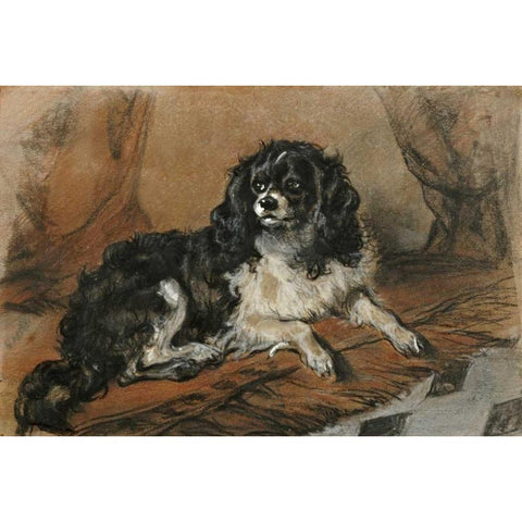 A King Charles Spaniel White Modern Wood Framed Art Print by Landseer, Sir Edwin