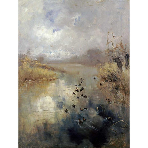 Ducks On a Lake Black Modern Wood Framed Art Print by Mariani, Pompeo