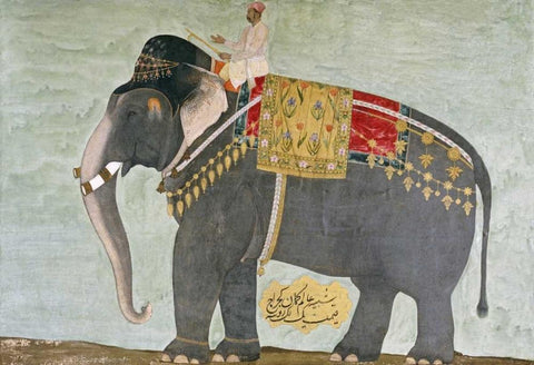 Portrait of The Elephant Alam-Guman Gajraj White Modern Wood Framed Art Print with Double Matting by Mughal