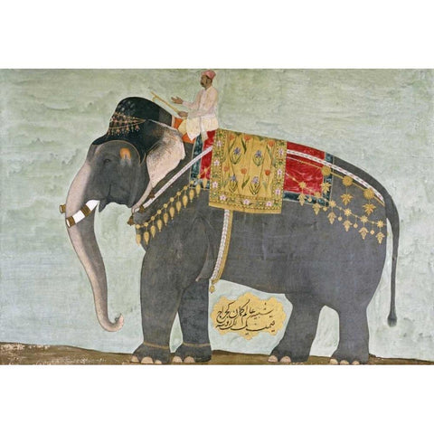 Portrait of The Elephant Alam-Guman Gajraj Black Modern Wood Framed Art Print with Double Matting by Mughal