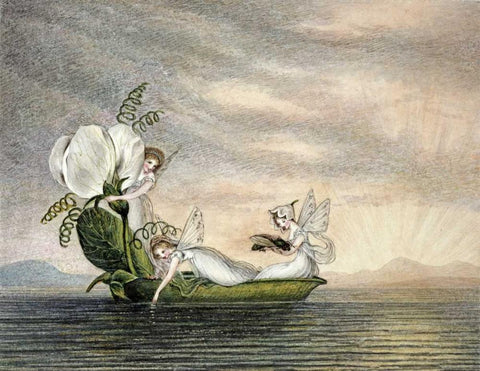 Fairies Floating Downstream In a Peapod White Modern Wood Framed Art Print with Double Matting by Murray, Amelia Jane