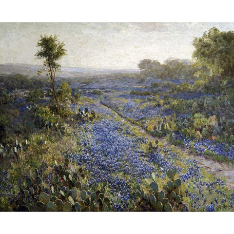 Field of Texas Bluebonnets and Prickly Pear Cacti White Modern Wood Framed Art Print by Onderdonk, Julian
