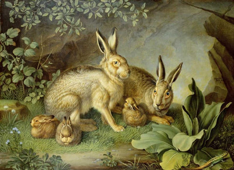 Hares and Leverets In a Rocky Lair Black Ornate Wood Framed Art Print with Double Matting by Peter, Johann Wenzel