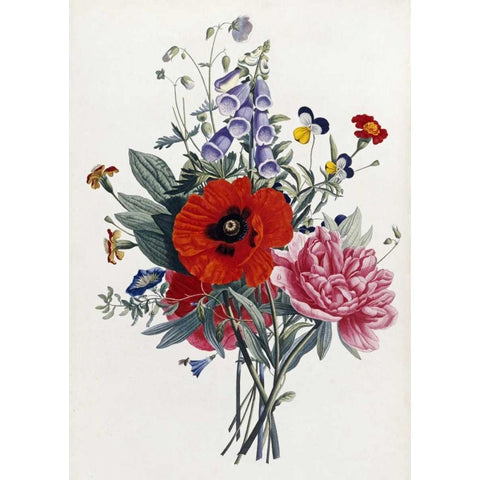 Collection Des Fleurs Et Des Fruits Black Modern Wood Framed Art Print by Prevost, Jean-Louis