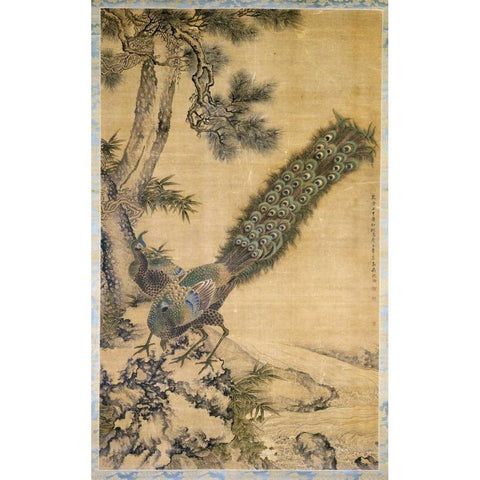 Bamboo, Pine and Peacocks White Modern Wood Framed Art Print by Quan, Shen