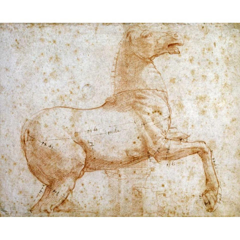 Study of One of The Quirinal Marble Horses White Modern Wood Framed Art Print by Raphael