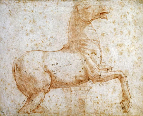 Study of One of The Quirinal Marble Horses Black Ornate Wood Framed Art Print with Double Matting by Raphael