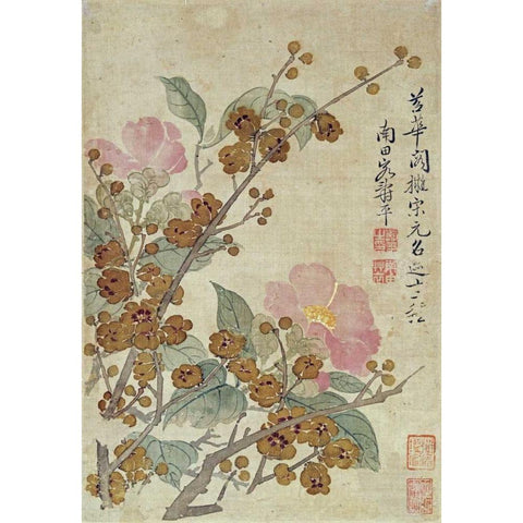 Plum Blossom and Camellias White Modern Wood Framed Art Print by Shouping, Yun