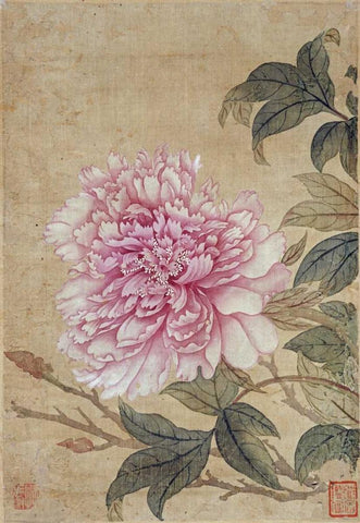 Peony Black Ornate Wood Framed Art Print with Double Matting by Shouping, Yun