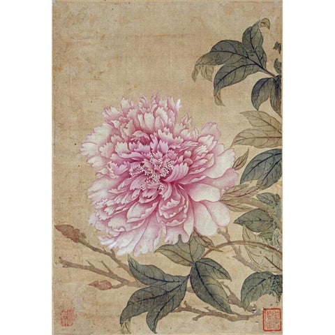 Peony White Modern Wood Framed Art Print by Shouping, Yun