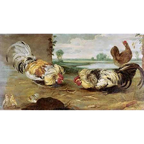 A Cock Fight White Modern Wood Framed Art Print by Snyders, Frans