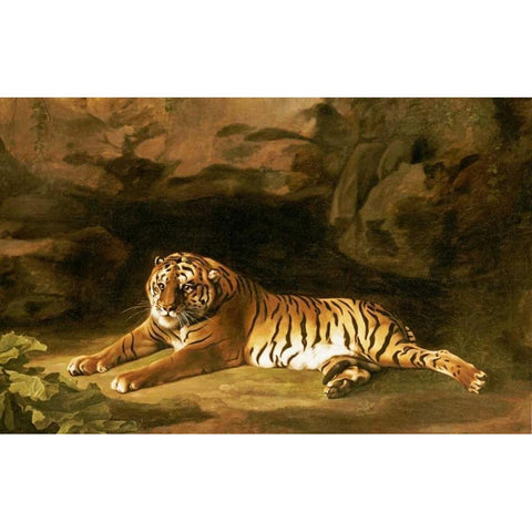 Portrait of The Royal Tiger Black Modern Wood Framed Art Print with Double Matting by Stubbs, George