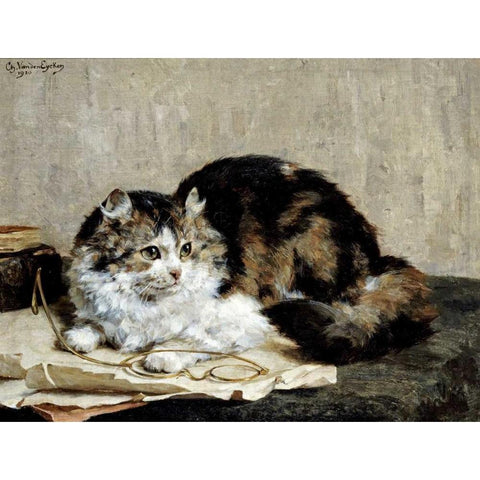 A Tabby Cat Black Modern Wood Framed Art Print with Double Matting by Van Den Eycken, Charles