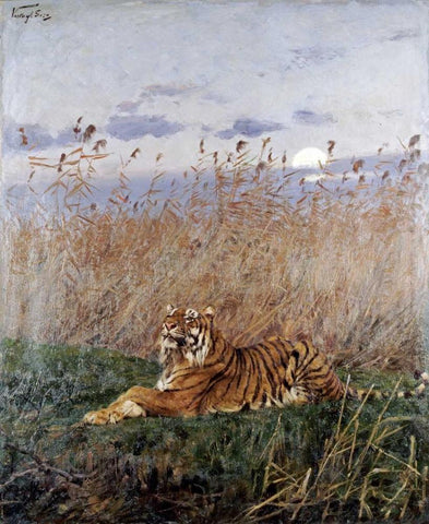 Tiger In The Rushes Black Ornate Wood Framed Art Print with Double Matting by Vastagh, Geza