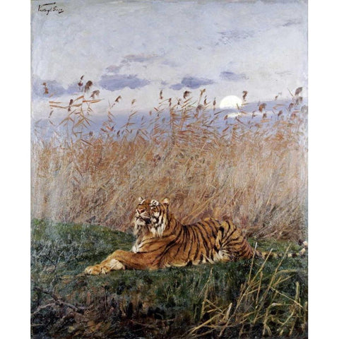Tiger In The Rushes Black Modern Wood Framed Art Print by Vastagh, Geza