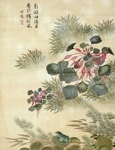 Water Caktrios and Frog White Modern Wood Framed Art Print with Double Matting by Yuanyu, Ma