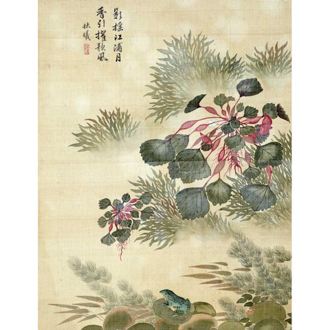 Water Caktrios and Frog White Modern Wood Framed Art Print by Yuanyu, Ma