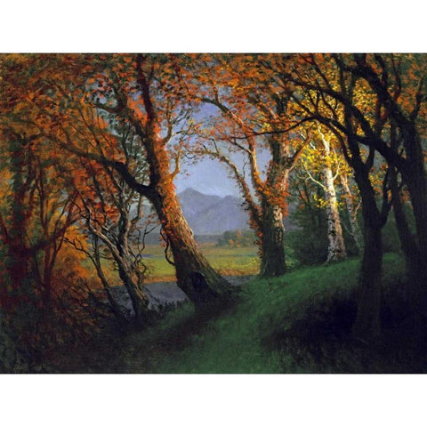 Sunset In The Nebraska Territory Black Modern Wood Framed Art Print by Bierstadt, Albert