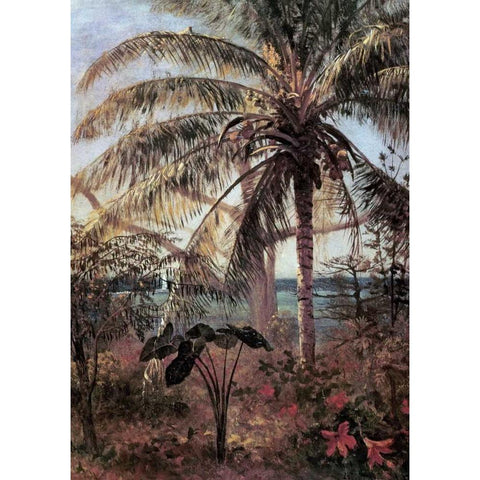 Palm Tree, Nassau White Modern Wood Framed Art Print by Bierstadt, Albert