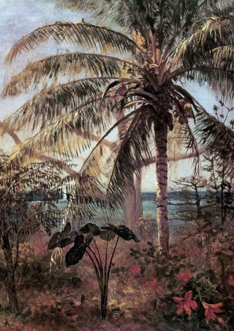 Palm Tree, Nassau White Modern Wood Framed Art Print with Double Matting by Bierstadt, Albert