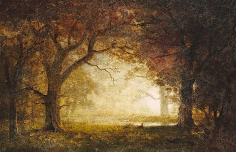 Forest Sunrise White Modern Wood Framed Art Print with Double Matting by Bierstadt, Albert