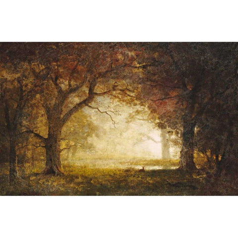 Forest Sunrise Black Modern Wood Framed Art Print with Double Matting by Bierstadt, Albert