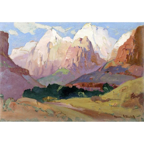 Grand Tetons Black Modern Wood Framed Art Print by Bischoff, Franz