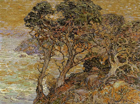 Point Lobos, Monterey Coast Black Ornate Wood Framed Art Print with Double Matting by Bischoff, Franz