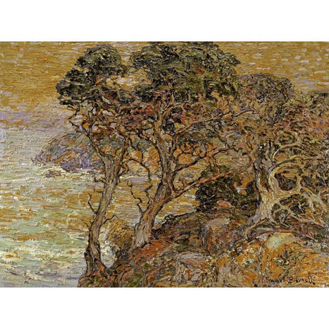 Point Lobos, Monterey Coast Black Modern Wood Framed Art Print by Bischoff, Franz