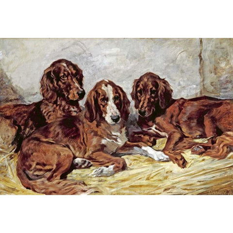 Shot and His Friends - Three Irish Red and White Setters Gold Ornate Wood Framed Art Print with Double Matting by Emms, John