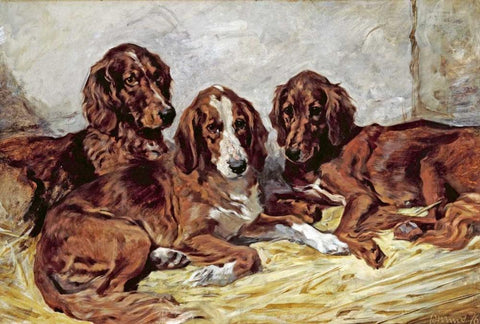 Shot and His Friends - Three Irish Red and White Setters Black Ornate Wood Framed Art Print with Double Matting by Emms, John