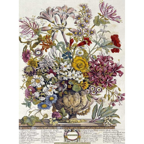 October - Twelve Months of Flowers Black Modern Wood Framed Art Print by Furber, Robert