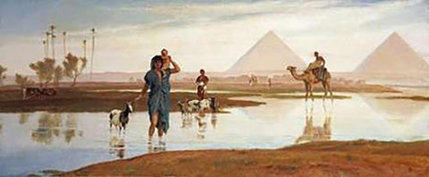 Overflow of The Nile, With The Pyramids Black Ornate Wood Framed Art Print with Double Matting by Goodall, Frederick