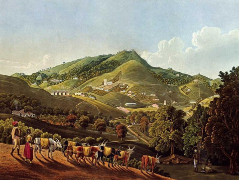 Views In India White Modern Wood Framed Art Print with Double Matting by Havell, Richard