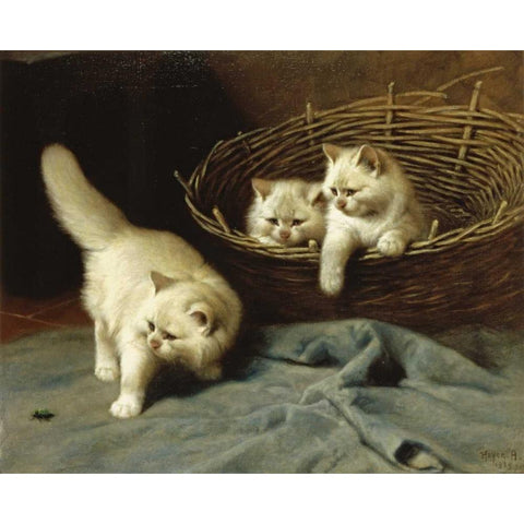 White Angora Kittens With a Beetle White Modern Wood Framed Art Print by Heyer, Arthur