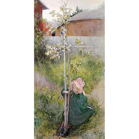 Appleblossom White Modern Wood Framed Art Print by Larsson, Carl