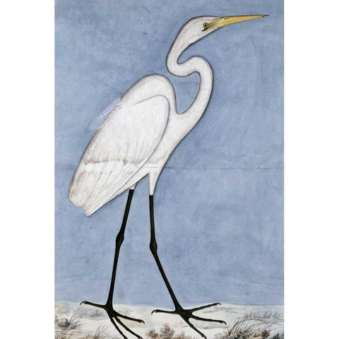 Great Egret Black Modern Wood Framed Art Print with Double Matting by Lucknow School