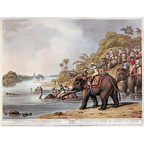 Chasing a Tiger Across a River Gold Ornate Wood Framed Art Print with Double Matting by Merke, H.