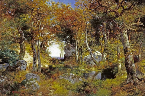 The Woodland Pool Black Ornate Wood Framed Art Print with Double Matting by Moran, Thomas