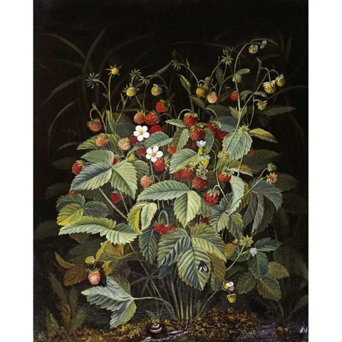 Wild Strawberries Black Modern Wood Framed Art Print with Double Matting by Ottesen, Otto Diderich