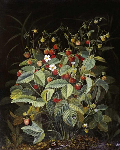 Wild Strawberries Black Ornate Wood Framed Art Print with Double Matting by Ottesen, Otto Diderich